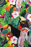 Tropical Toucan Parrot High Waisted Hot Pants Jungle Glitter MADWAG Festival Booty Shorts